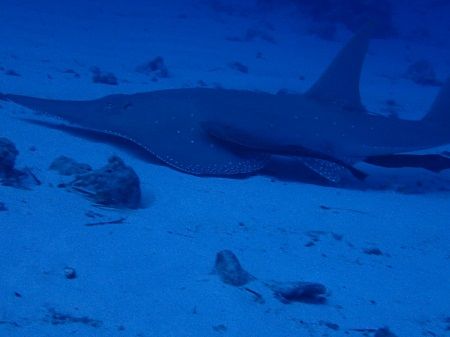 26610801_1994078450873127_173702100_o