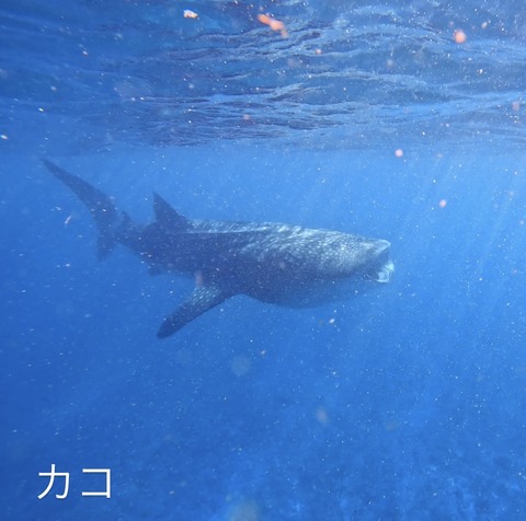 0D2AB07F-1E53-4D07-B4BD-BD6C52B2F5A6