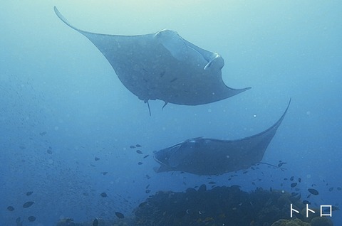 41CC9C1D-23E7-4907-B748-2B24E59BE604