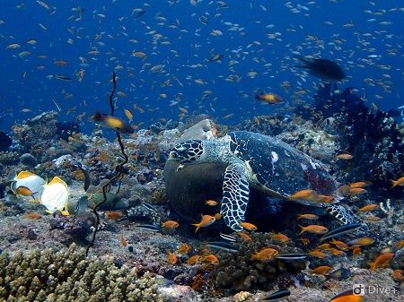 44951168_511561979360539_485354982602702848_n4