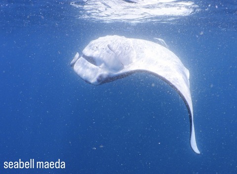 DFDF077E-5AA8-4CEE-89EC-BFBF478EDD9B