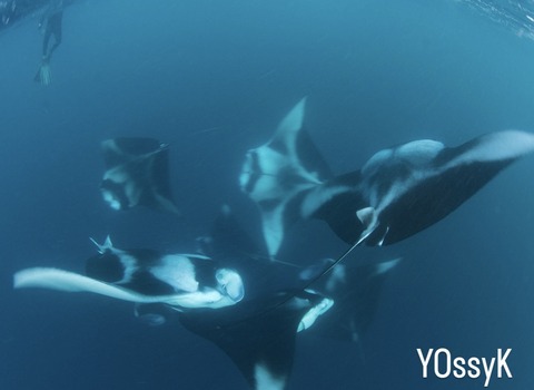 2BFFF666-35D9-4E1C-A3DF-8EAB8871A2B2