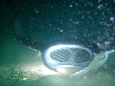 DSC03649 のコピー