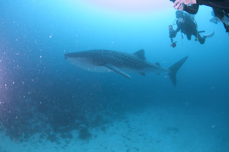 名称未設定-1(ドラッグされました) 1