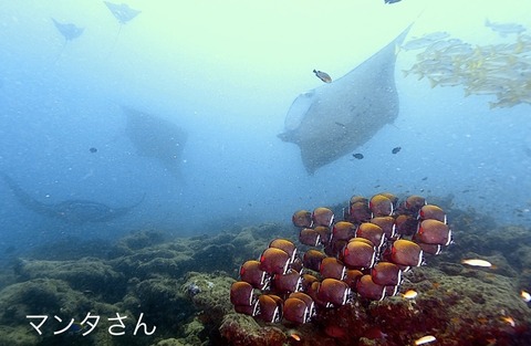 89D60D9F-EDD9-465B-9330-31BF2825C057