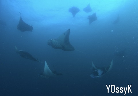 8AB4BBB7-8CDB-4E5B-A0A0-905CAD3D7DA7