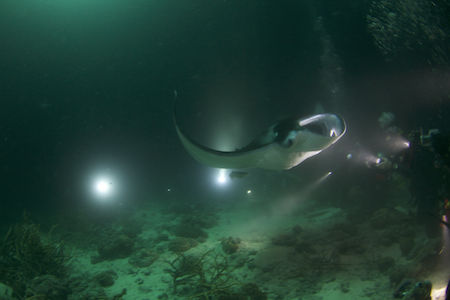 名称未設定-1(ドラッグされました) 6