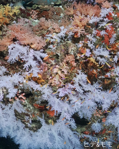 8E26AC95-3A50-4F21-972E-BB3D561E12B2