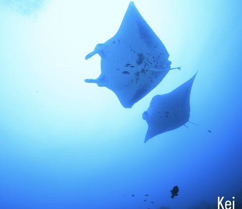 6C58CE95-5543-4206-BF3D-A6EF855A7ADF