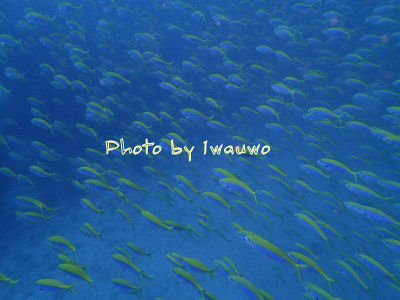 P9160065