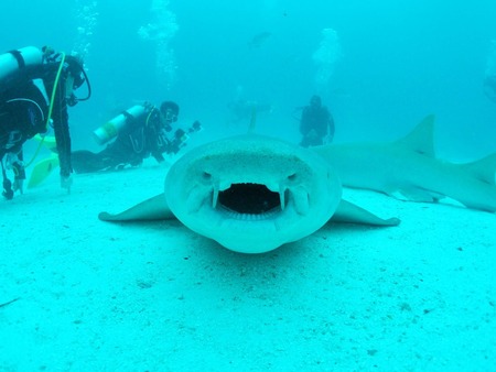 37388610_1814632345293039_838788154923155456_n