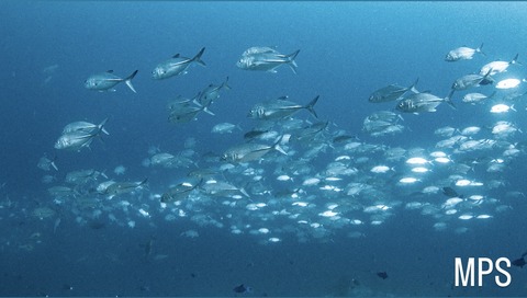 12D9DE6A-9BF3-4C1E-9E29-3709C28D27FE