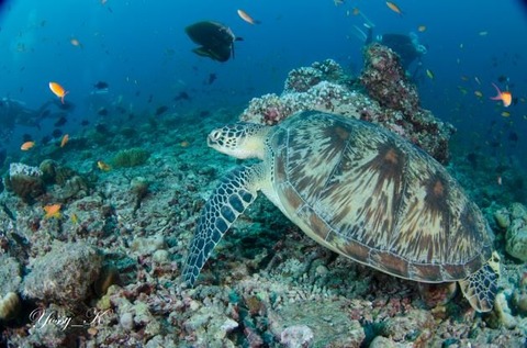 293916749_5280432335384369_6994840523688784468_n