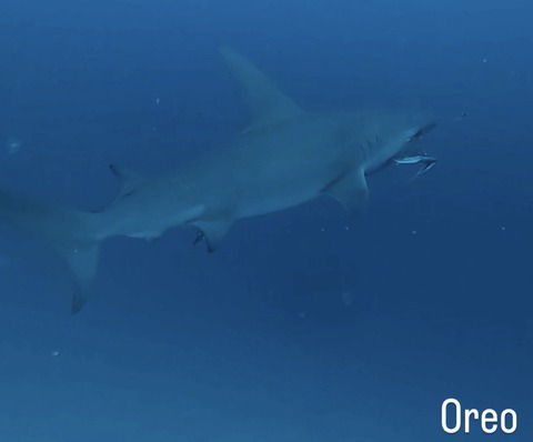 287D6D32-0CB0-4D9A-A7AB-2A498FE2EE38