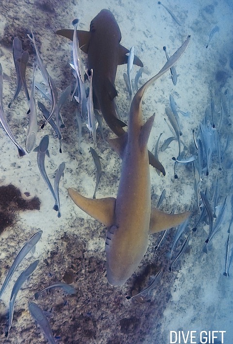 92000181-92E2-4AEC-B6BB-E06C59F236C9