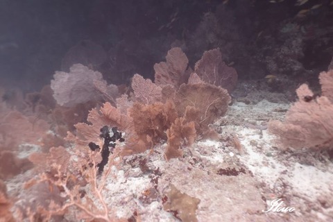 366818126_1888760631524761_6098540779424776789_n