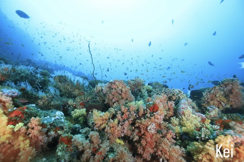 EF002034-D02D-45CC-BF9B-84F1D7ABAB29