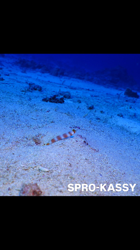 04FEA891-862F-4EB0-A85B-50C08241320E