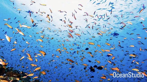 E9DCE034-D88E-48D1-B0A6-D040CEAA22A8