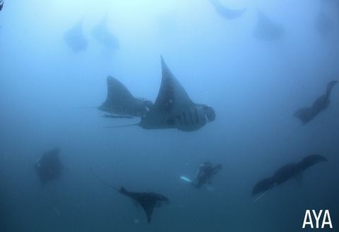 5A104537-476C-4529-A5D3-F9B241D79607