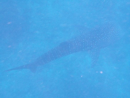 40571179_544876109307540_2760901932460539904_n