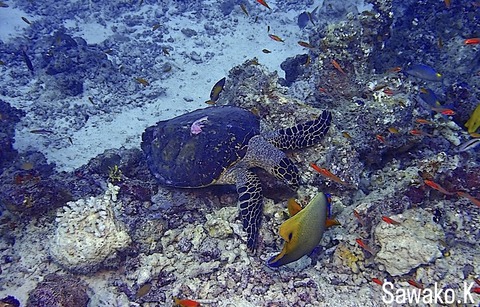 EAED43FA-9A6E-4B9E-9EA1-D11376419917