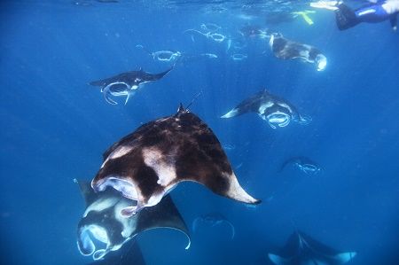 41663738_1884570738303776_445862517797814272_n