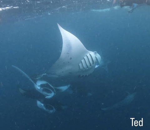 E4CF4057-4B13-4913-9BBA-92254A80FAC2