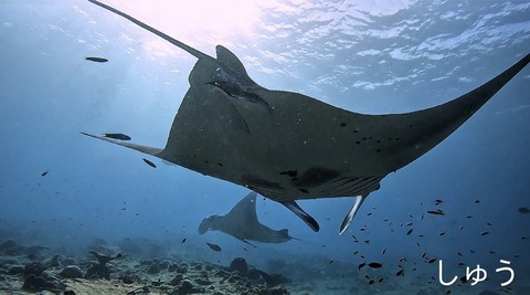 BE9DBE25-3963-4E5A-BCB7-B9A6B64EEA44