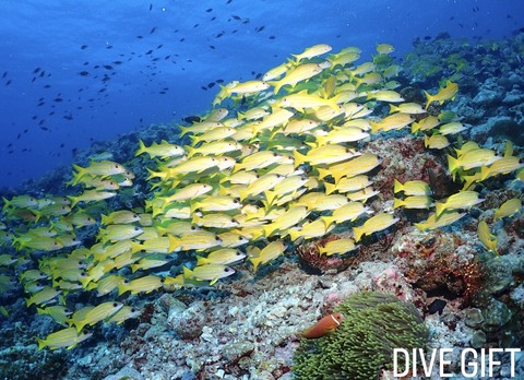 8A6AFCEC-BB06-40C7-AEDC-E5318E4DDBFC