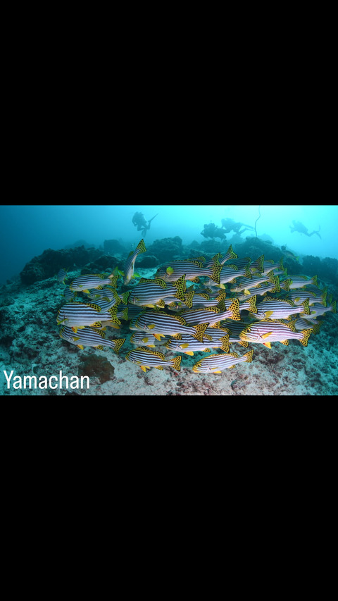 B02EA38C-B43F-43BE-AC6B-52853D492D94