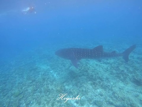 371530968_6555010387926551_4277275941083124418_n