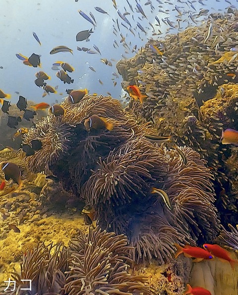 7FF5C0EC-885C-4D37-8C9D-659059137BE5