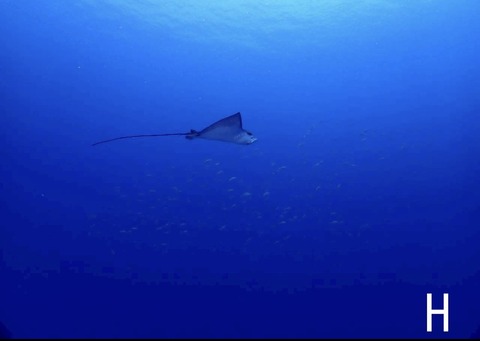 9D11A816-005C-494B-87CF-AF1E5DA50CED