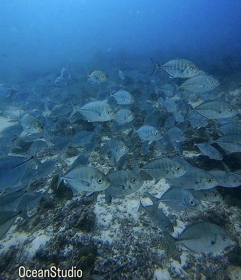 6C3534AD-1391-4015-9A96-DAAFE1A22B1A