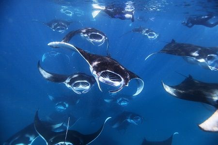 41688140_2251075198298604_4727037222111412224_n