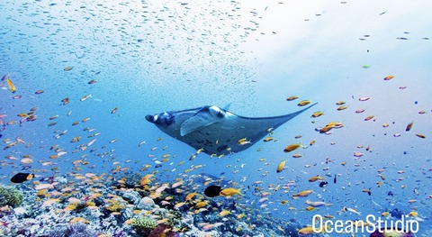 A06F1A3E-22DE-41EF-BB06-DEF60421C49F