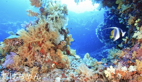 5154AC32-25D8-4F87-BA2E-D776F8434395