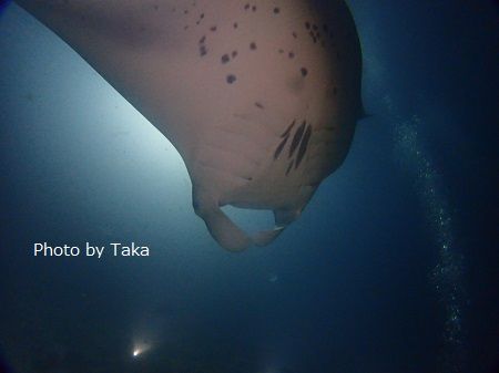 14.4taka