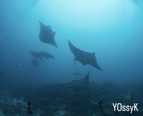 F7437CA9-D395-49AE-ACDC-DC22F540997E