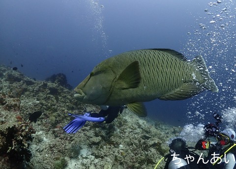 0B760514-7384-4982-8C4A-97B4D05822A4