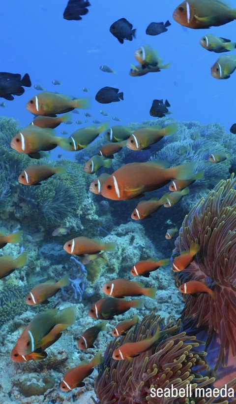 735F2ECE-E4C7-459C-A179-4D8555763EEE