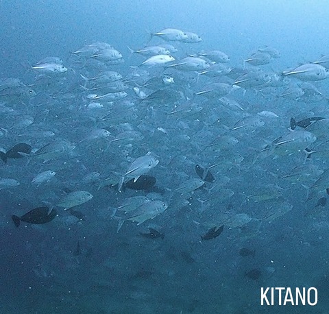 8AA8C713-F08D-4E05-8FE7-97933DAFD1B6