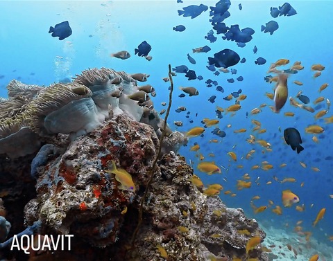 566E8C00-3FF1-4D61-83F9-A47A11809BA5