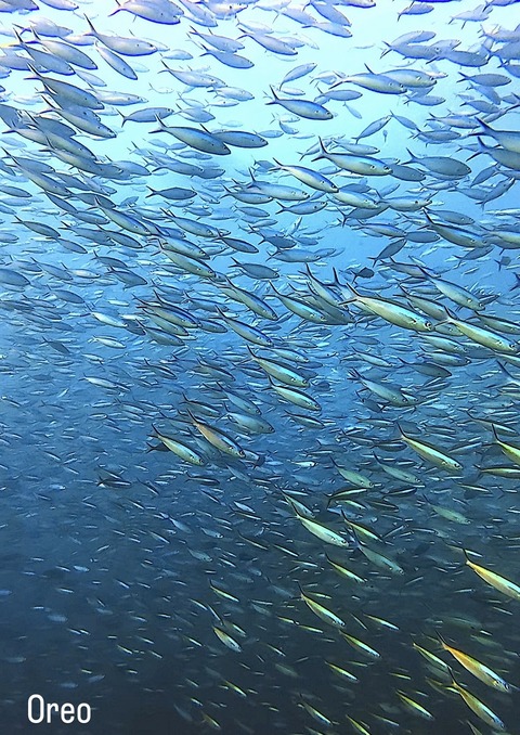 42F432B9-8D66-4B5E-8976-5B3A1D09CF58