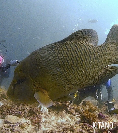 E4D1AE86-7C33-4854-A46D-60434322843C