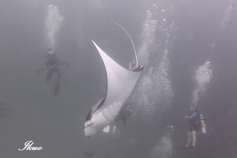 366697903_1888280454906112_7557836840601201377_n