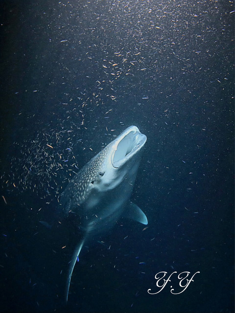 45D19881-716A-4E6D-867C-9BFC13F98913