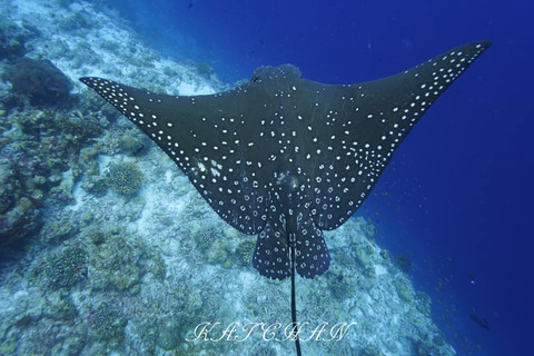 392861074_6917941961633390_7406949598265008391_n