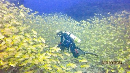 31454026_1265519010246643_1989345773954793472_n